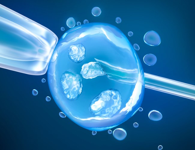 Sperm Fish Testi